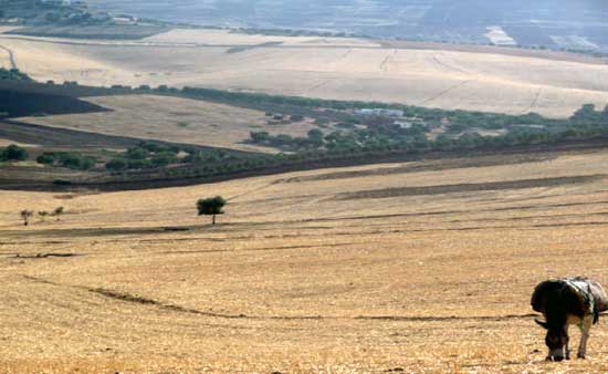 2015 Journee mondiale Art et Danse au Maroc
